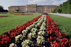 rows of brigh color flowers at historic building in vienna