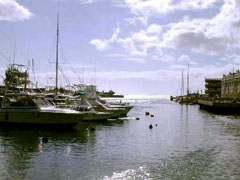 harbour with fishing boats in bridgetown barbados