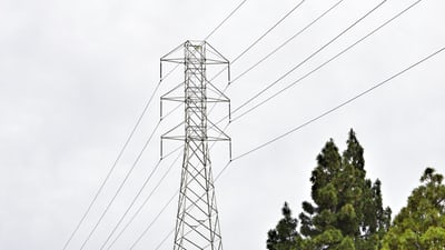 trees with power tower in background in san jose