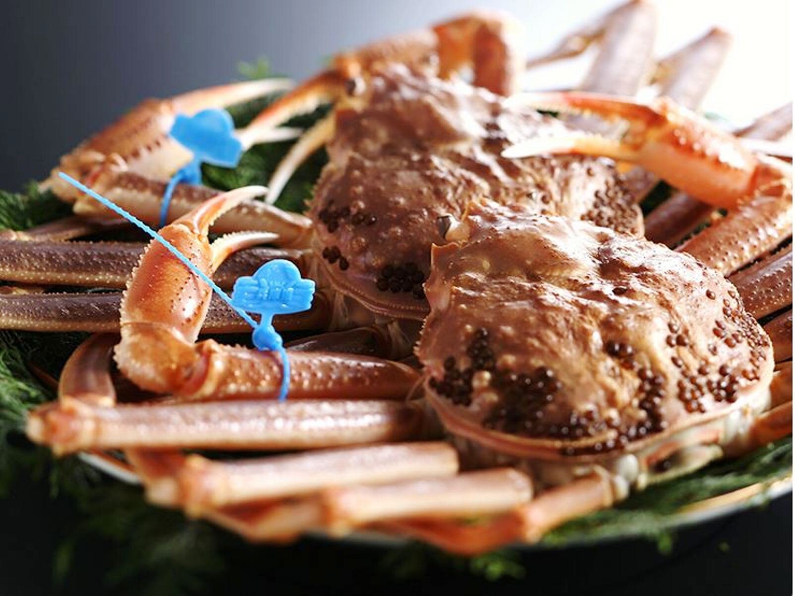 plate of sea food fresh from the ocean