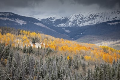 fall tree colors with mountains in background in vail colorado