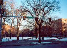 view of trees in spring with some snow in ann arbor.