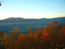 scenic view of colored trees in asheville north carolina