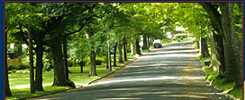 walking path between mature trees in durham north carolina uas 