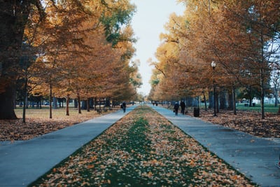 fall park setting in salt lake city uta usa.