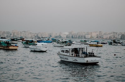 boats on water with a view of city of alexandria virginia usa.